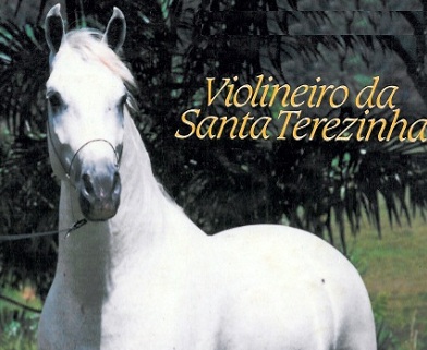 imagem cavalo Violineiro da Santa Terezinha